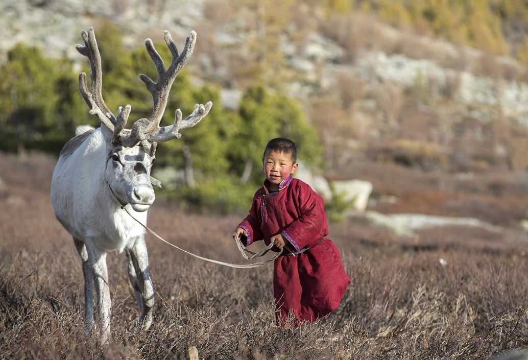 ילד מונגולי עם אייל הצפון